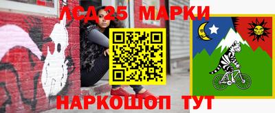 индика Гусь-Хрустальный