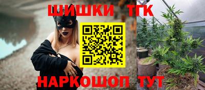 индика Гусь-Хрустальный