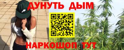 индика Гусь-Хрустальный